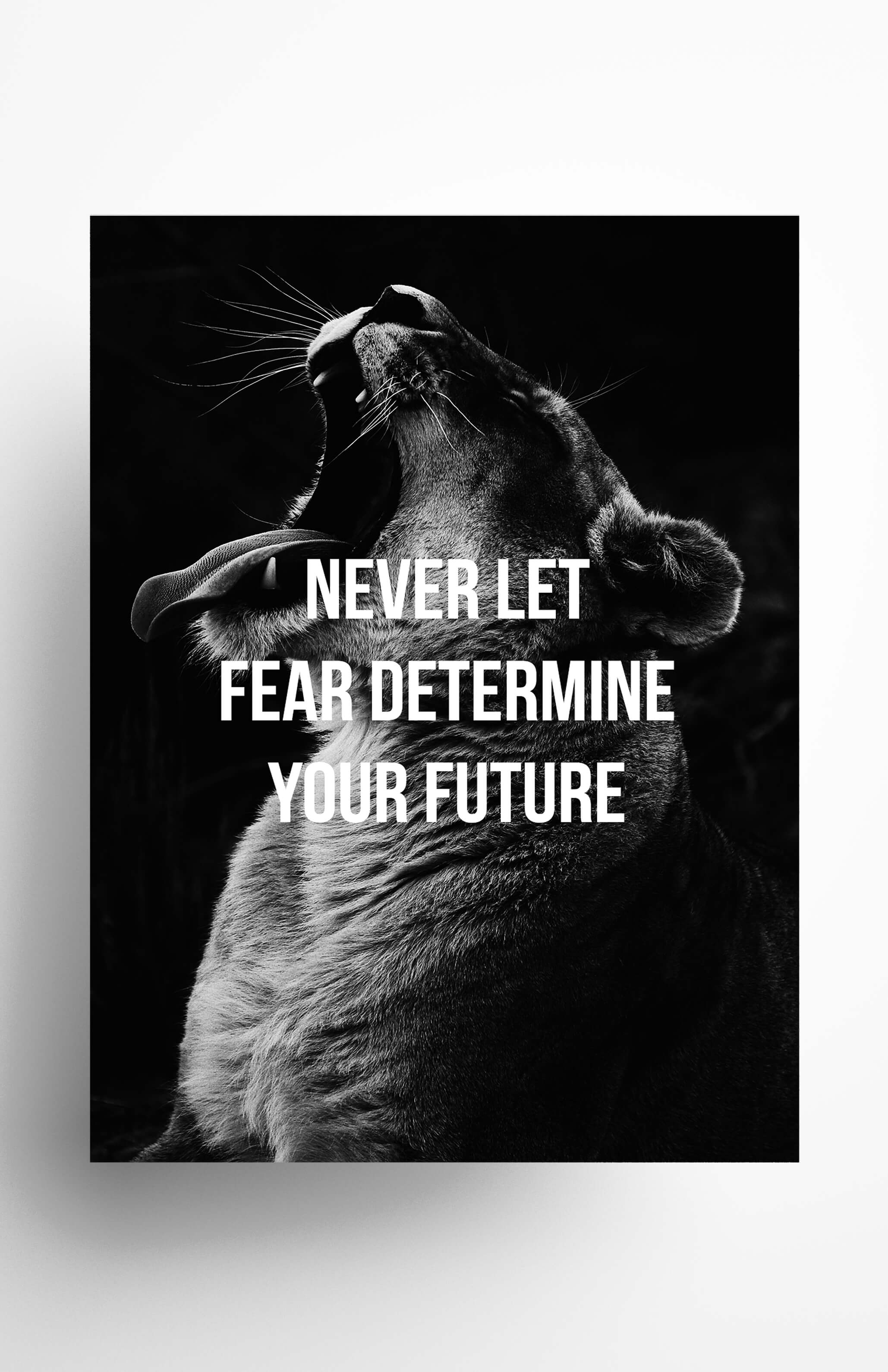 V3 Apparel womens Never Let Fear Determine Your Future, Motivational posters, mens inspirational wall artwork and empowering poster quote designs for office, home gym, school, kitchen and living room.